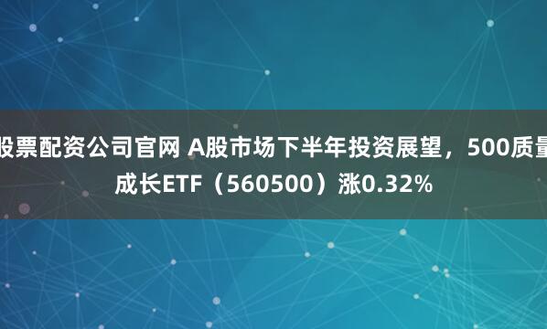 股票配资公司官网 A股市场下半年投资展望，500质量成长ETF（560500）涨0.32%