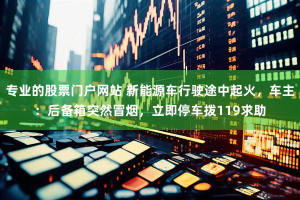 专业的股票门户网站 新能源车行驶途中起火，车主：后备箱突然冒烟，立即停车拨119求助
